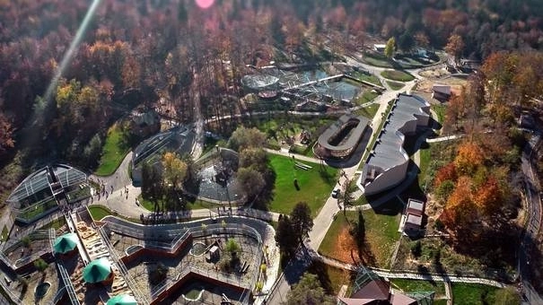 maimutele-de-la-zoo-brasov-in-noua-casa-de-anul-viitor