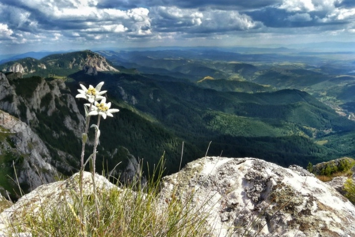 maraton-de-folk-si-cantece-de-munte-seara-muntomanului-ed-xiii