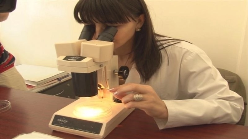 medicii-veterinari-vor-lucra-si-in-weekend