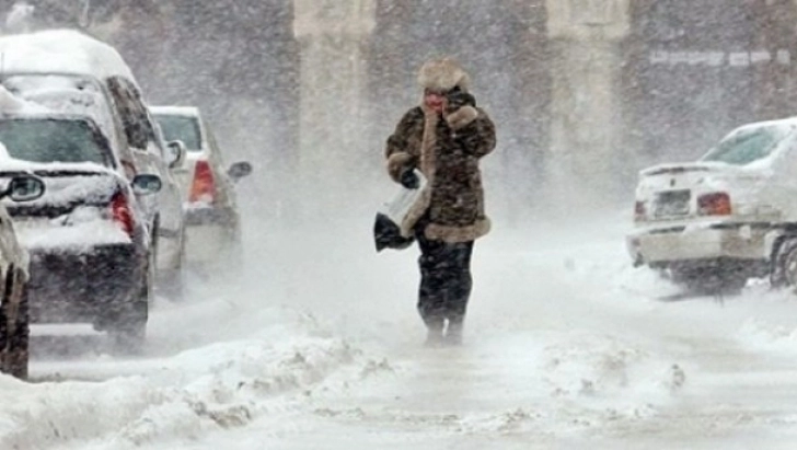 ninsori-insemnate-cantitativ-local-viscolite-la-brasov
