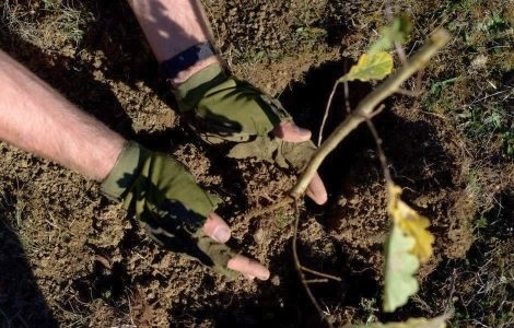 o-noua-campanie-planteaza-in-romania-