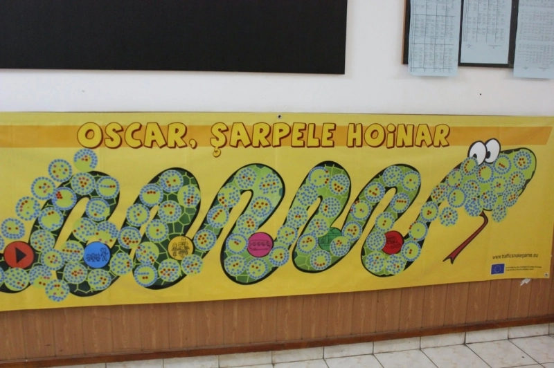 oscar-sarpele-hoinar-revine-la-brasov-