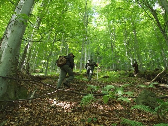 patru-brasoveni-sunt-suspectati-de-vanatoare-ilegala