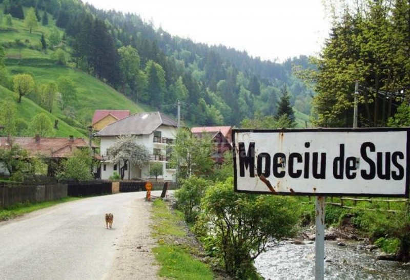 pensiuni-si-restaurante-controlate-de-politisti