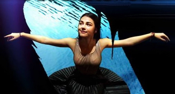 pescarusul-adaptare-dupa-ap-cehov-la-centrul-cultural-reduta