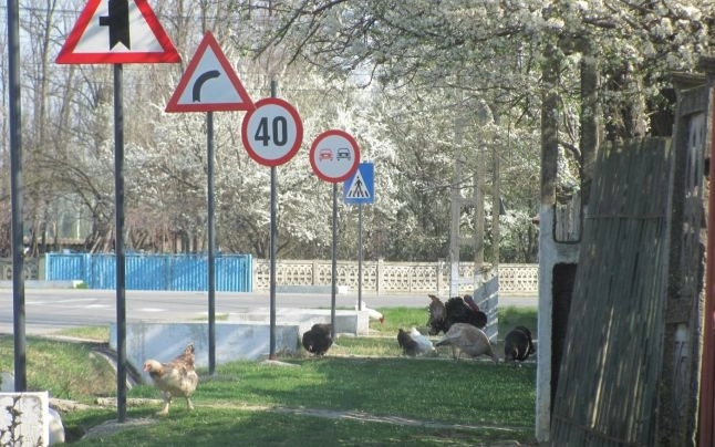 peste-27-de-milioane-de-lei-pentru-indicatoare