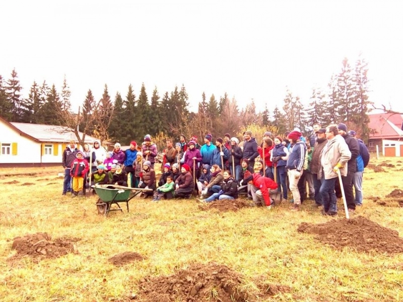 plantam-in-bradet-gard-viu-realizat-de-voluntari-la-centrul-de-reabilitare-scolara-bradet