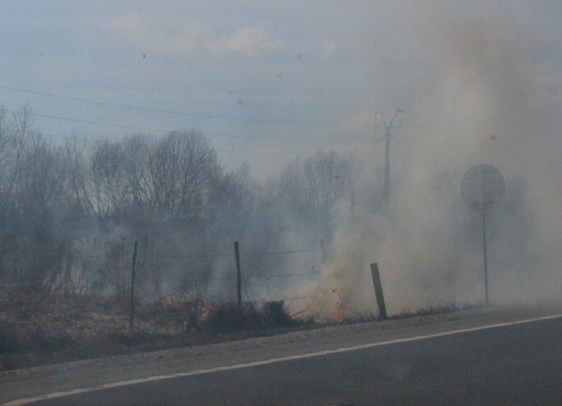 pompierii-au-facut-bilantul-incendiilor-de-vegetatie-zeci-de-hectare-afectate