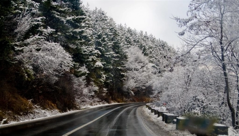 recomandarile-politistilor-pentru-soferii-de-drum-lung
