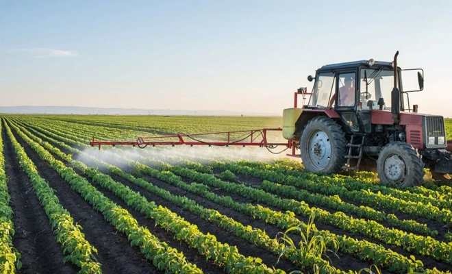 romania-al-optulea-producator-agricol-al-ue