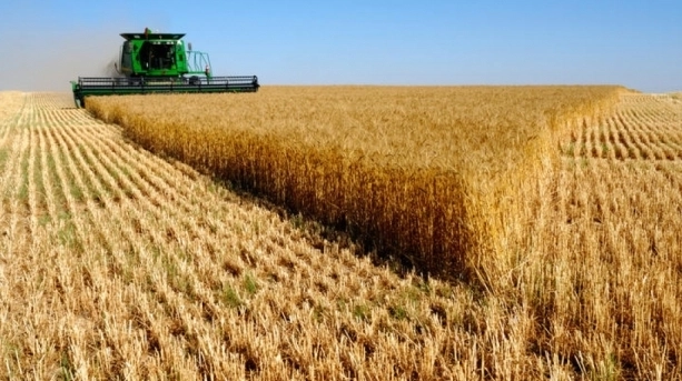 romania-principalul-exportator-de-cereale-din-ue