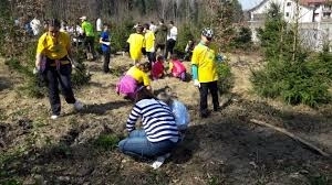 romania-vrea-sa-bata-recordul-mondial-de-plantare-de-puieti-intro-singura-zi