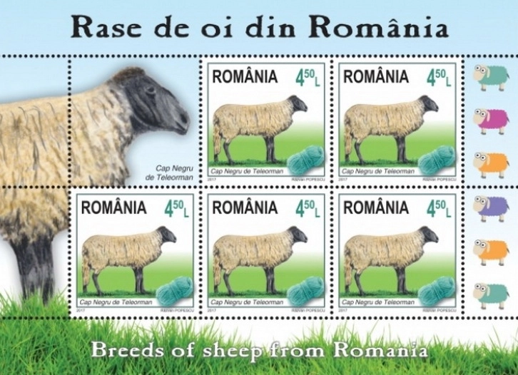 romfilatelia-lanseaza-o-emisie-noua-de-timbre-rase-de-oi-din-romania