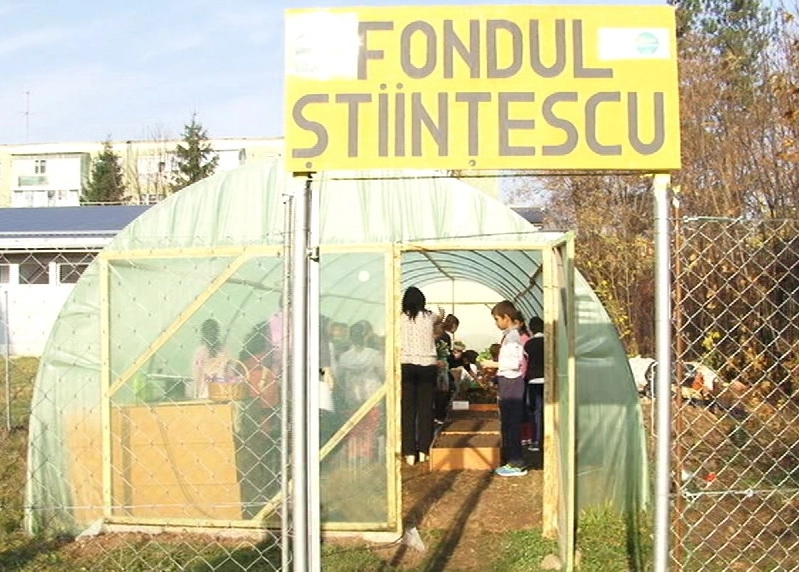 sambata-are-loc-inaugurarea-serei-de-lavanda-din-curtea-scolii