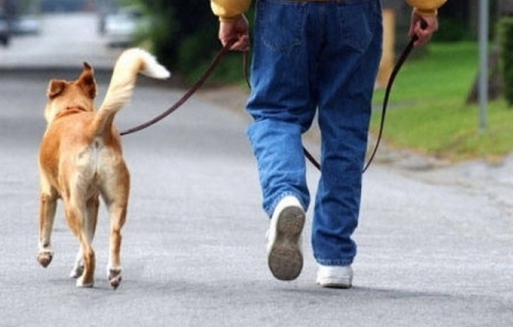 sanctiuni-pentru-stapanii-de-caini-pentru-murdarirea-strazilor