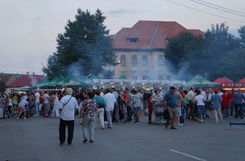 trei-zile-de-muzica-si-buna-dispozitie-summer-fest-fagaras-2017