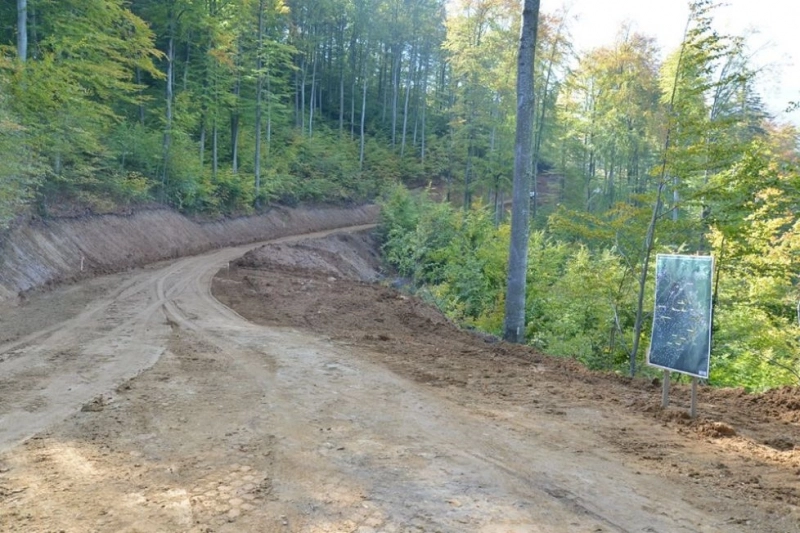 un-nou-drum-forestier-cu-bani-europeni