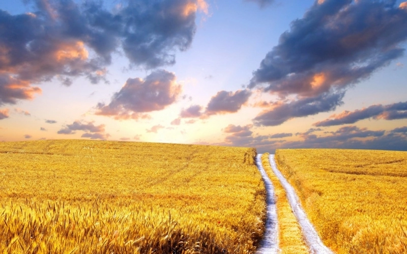 vine-vara-fierbinte-si-fara-ploi