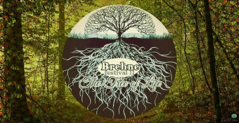 yoga-si-muzica-electronica-timp-de-trei-zile-la-brasov-in-poiana-mica