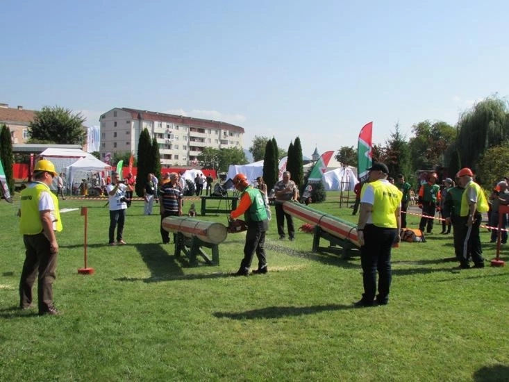 ziua-forestierului-2017