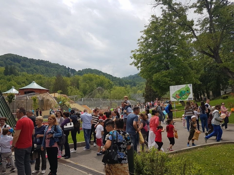 ziua-internationala-a-gradinilor-zoologice-si-parcurilor-sarbatorita-la-zoo-noua