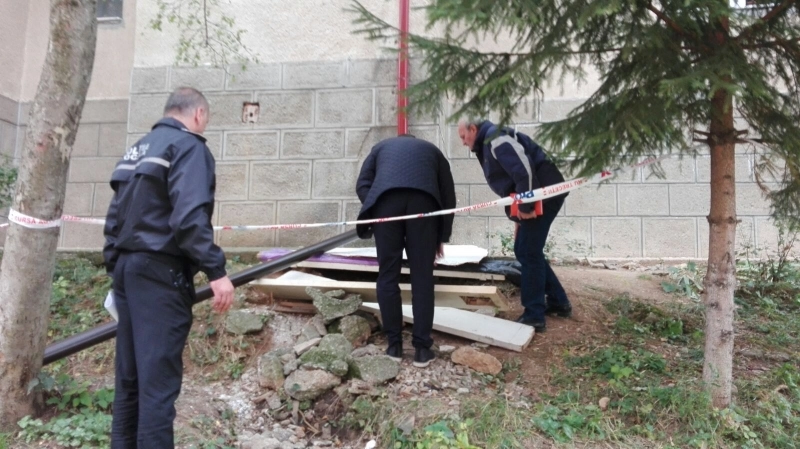 zona-cuprinsa-intre-dobrogeanu-gherea-si-capatul-strazii-molidului-trebuie-expertizata