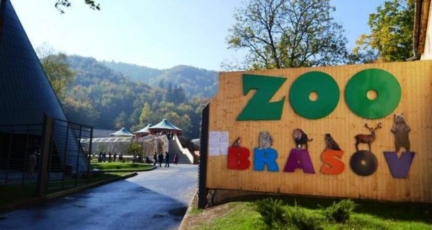 80-de-copii-au-primit-bilete-gratuite-la-zoo-brasov