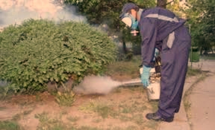 a-inceput-o-noua-campanie-de-dezinsectie-in-brasov