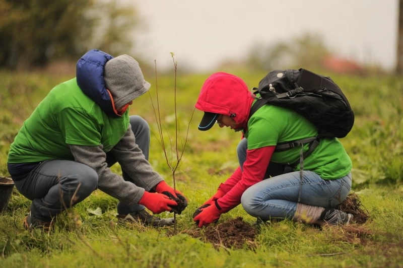 actiune-de-impadurire-la-ghimbav-planteaza-in-romania-editia-de-toamna