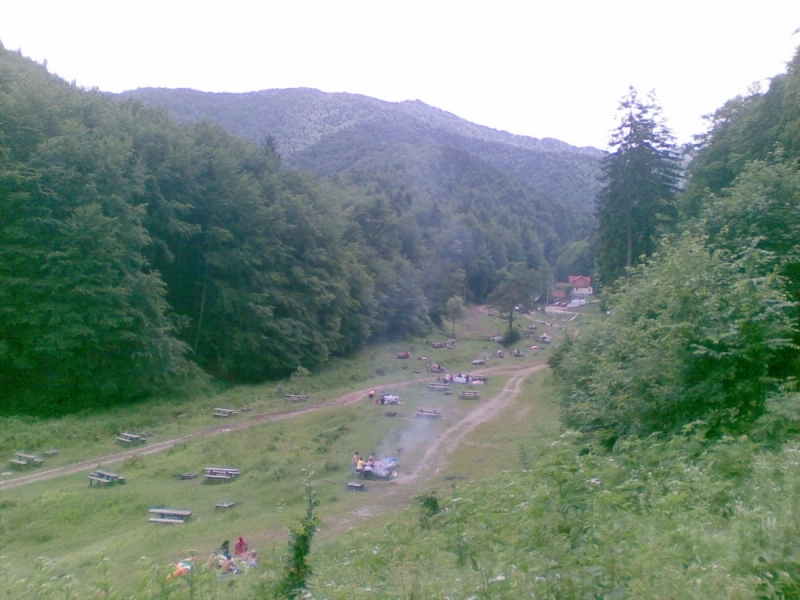 aveti-grija-unde-faceti-gratarul-controale-in-zonele-de-picnic