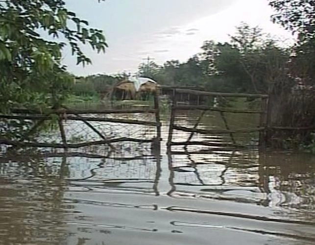 cod-galben-de-inundatii-in-judetul-brasov-pana-vineri