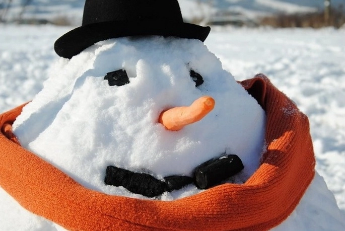 concurs-de-construit-oameni-de-zapada-la-fagaras-(1)