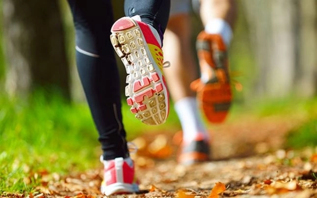 crosul-cetatii-fagaras-romania-100-editia-i