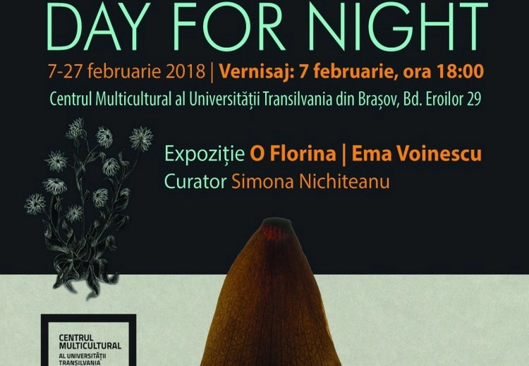 day-for-night-expozitie-la-centrul-multicultural