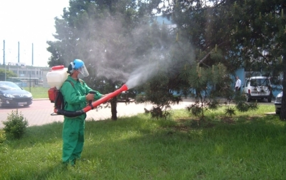 de-astazi-incepe-campania-de-deratizare