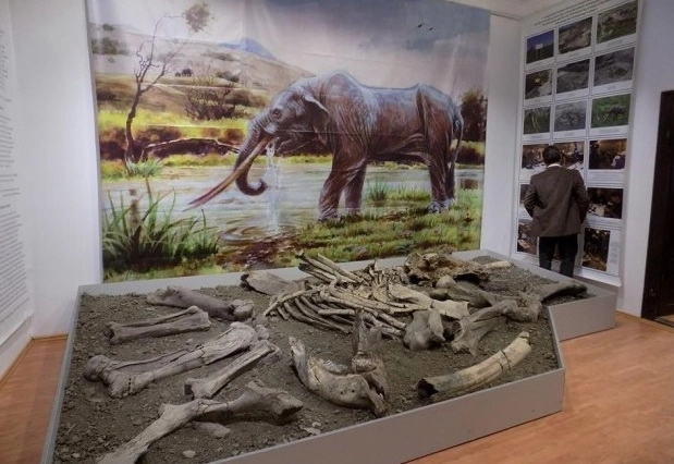 dupa-ce-a-stat-doi-ani-la-rasnov-mastodontul-imprumutat-de-dino-parc-sa-intors-la-baraolt