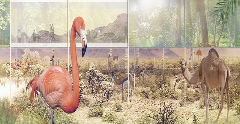 ecrane-educationale-la-zoo-brasov