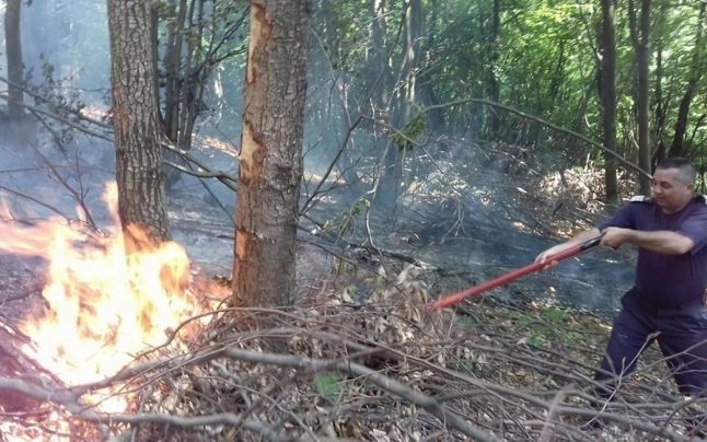 exercitiu-simulare-de-incendiu-pe-muntelui-tampa