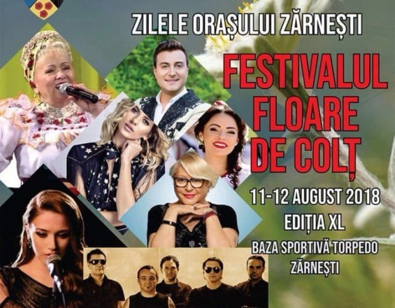 festivalul-floare-de-colt-2018-zilele-orasului-zarnesti