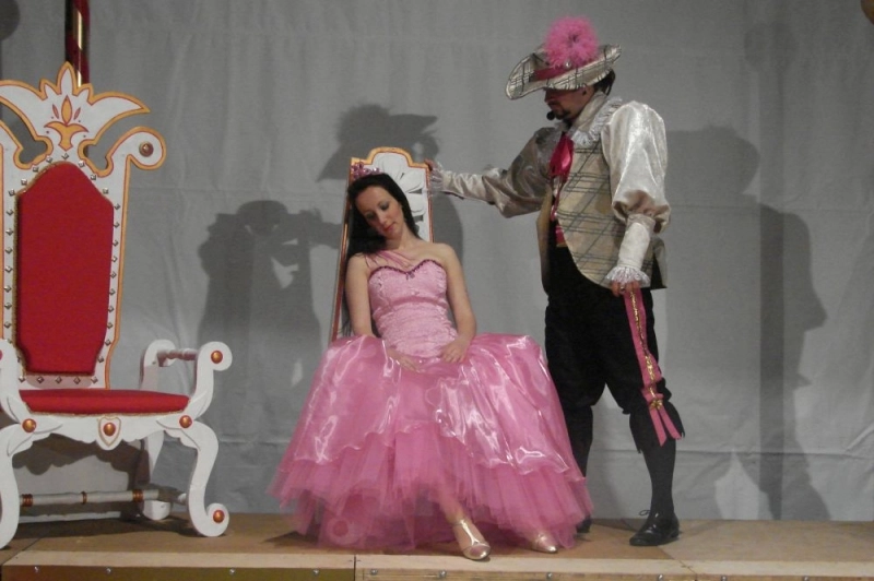 frumoasa-din-padurea-adormita-musical-pentru-copii-la-opera-brasov