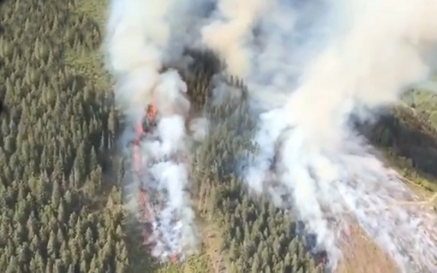 incendiu-de-vegetatie-in-masivul-ciucas-la-vama-buzaului