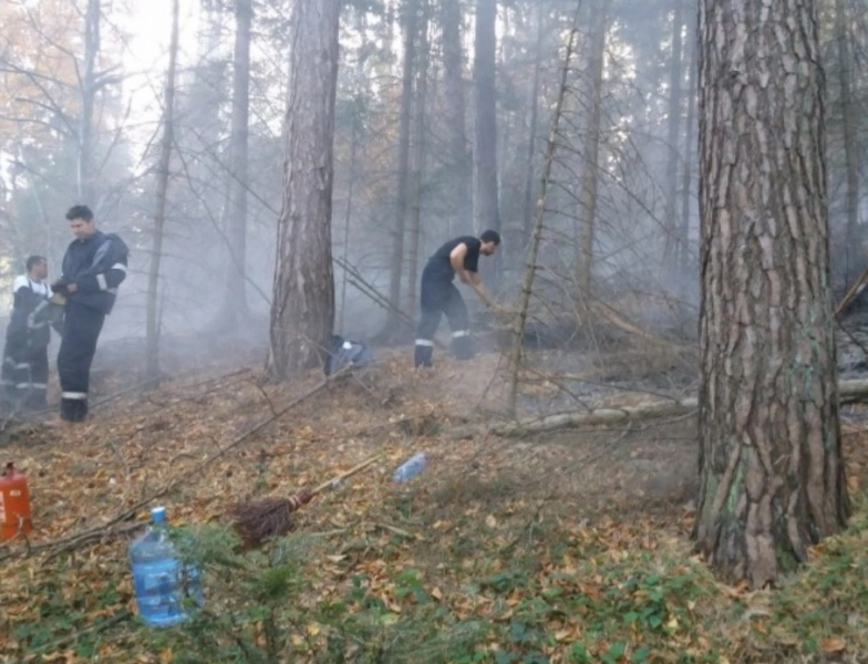 interventie-dificila-a-pompierilor-la-un-incendiu-de-padure-la-tarlungeni