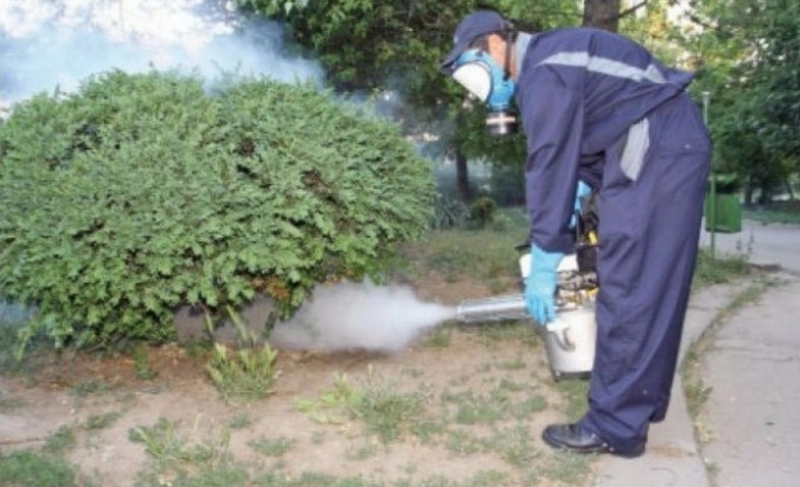 la-brasov-incepe-o-campanie-de-deratizare-dezinsectie-si-dezinfectie-