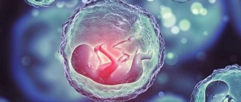 la-brasov-sa-lansat-un-program-social-de-fertilizare-in-vitro