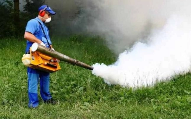 luni-incepe-campania-de-dezinsectie-in-brasov