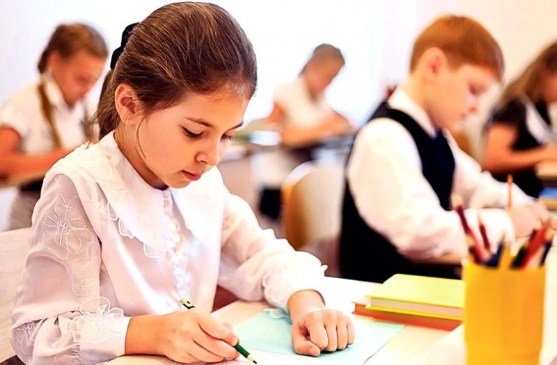 ministerul-educatiei-a-publicat-rezultatele-consultarii-publice-