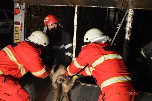 misiune-dificila-a-pompierilor-din-cauza-inundatiilor