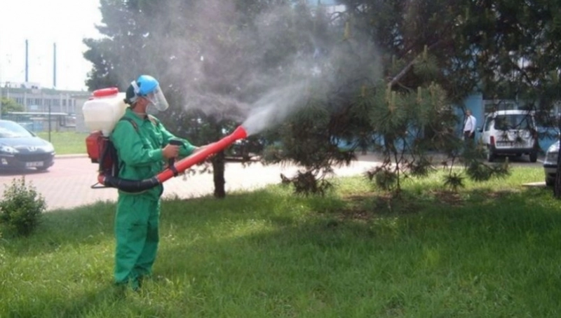 pe-11-septembrie-incepe-campania-de-dezinsectie-in-municipiul-brasov