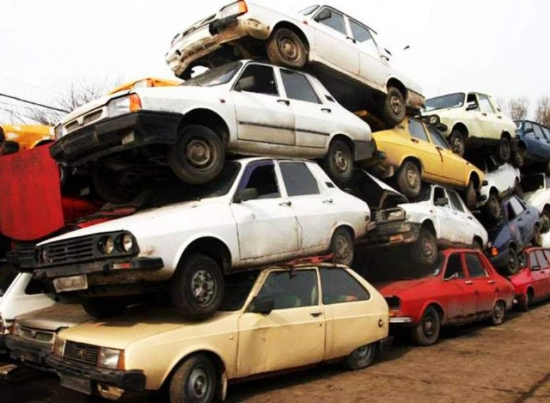 peste-240-de-rable-in-municipiului-brasov