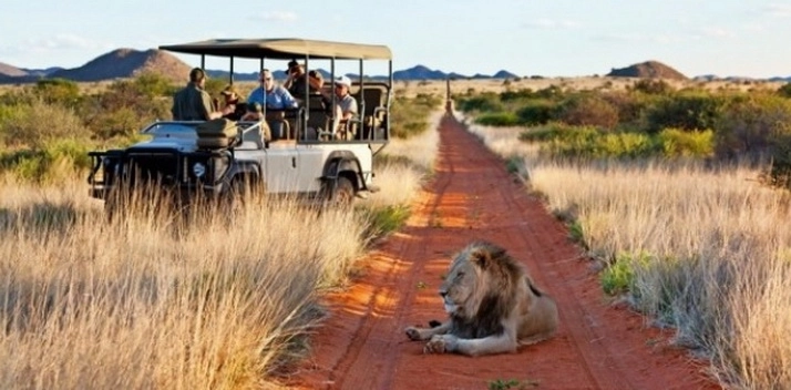 proiect-experienta-ca-in-safari-la-zoo-brasov-